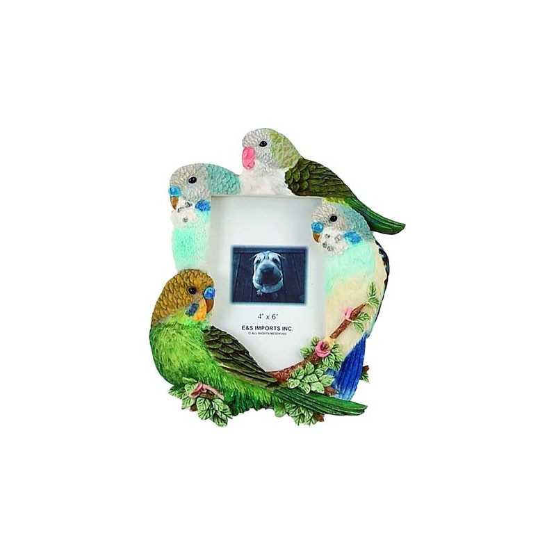 Budgies picture frame