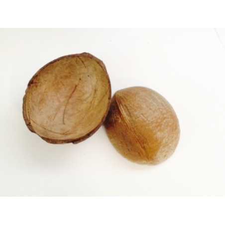 Half coconut shell