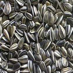 sunflower seeds, natural,...