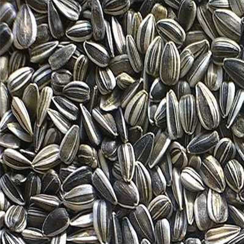 sunflower seeds, natural, unsalted